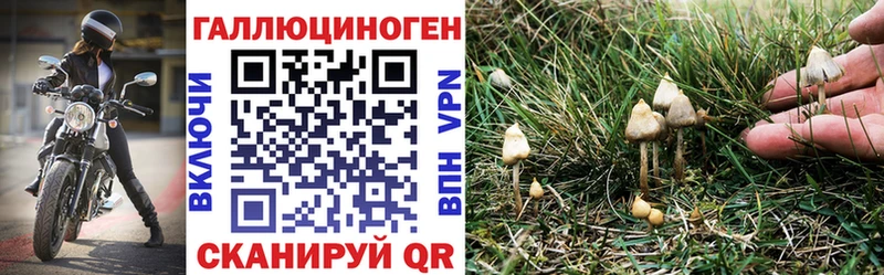 Галлюциногенные грибы мицелий  Валуйки 